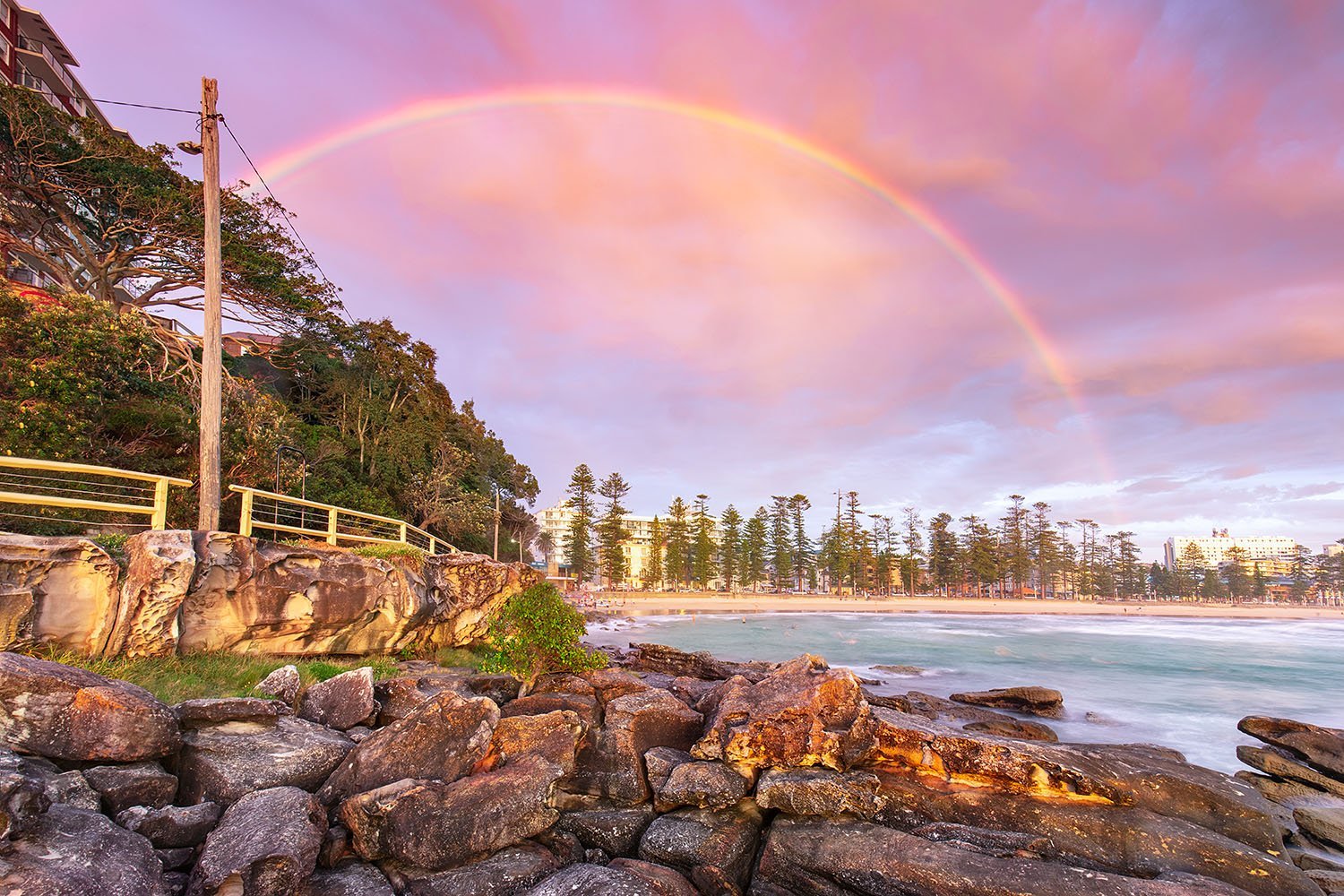 🌳 이나기 중앙공원 (이나기추오코엔) 이미지 3